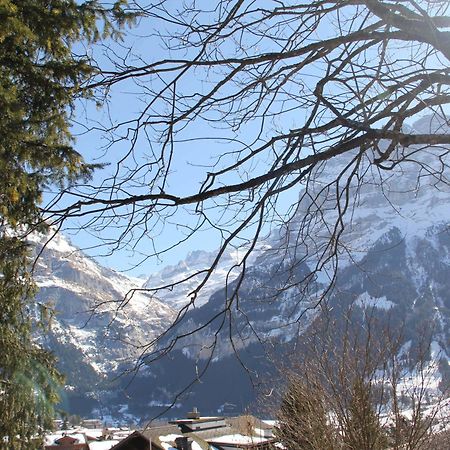 Lodge - Elements Lodge Grindelwald Exterior photo