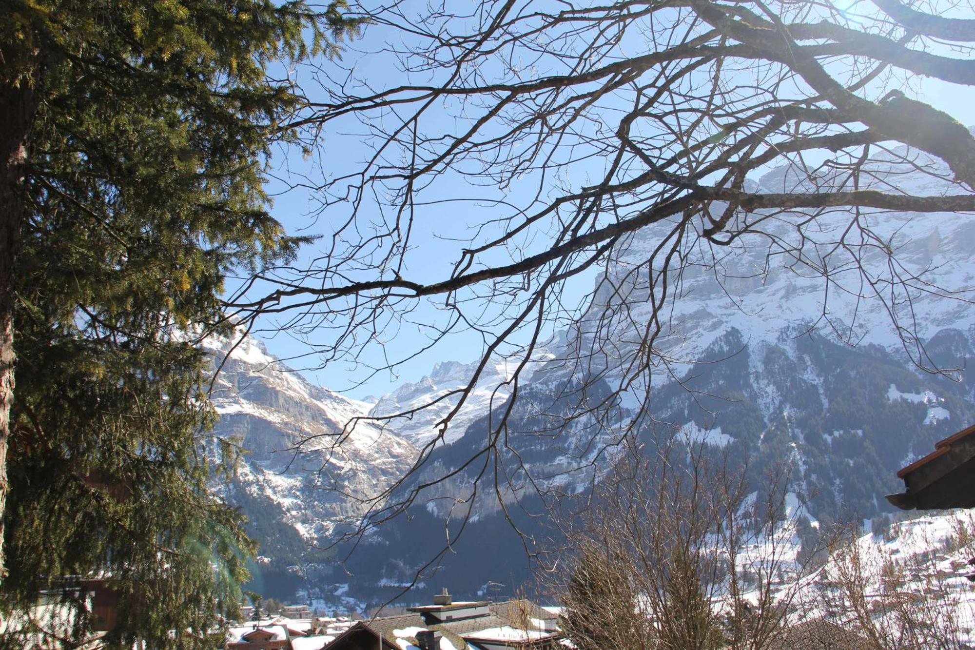 Lodge - Elements Lodge Grindelwald Exterior photo
